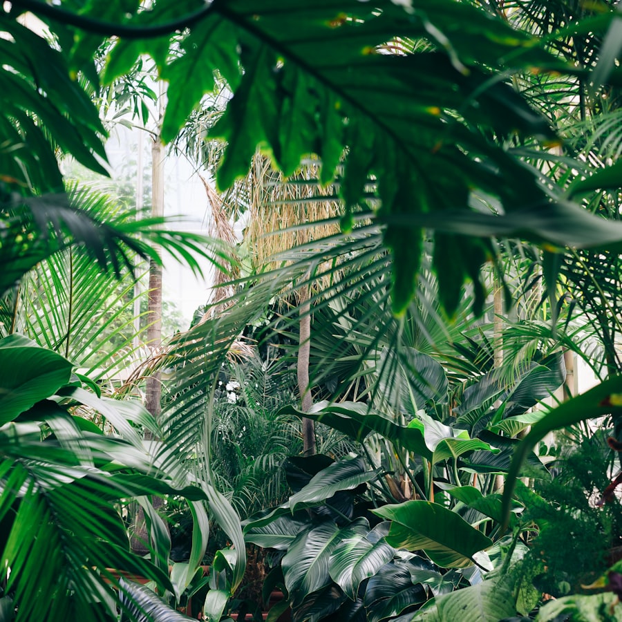 Inside the GreenHouse greenhouse, full of tropical plants