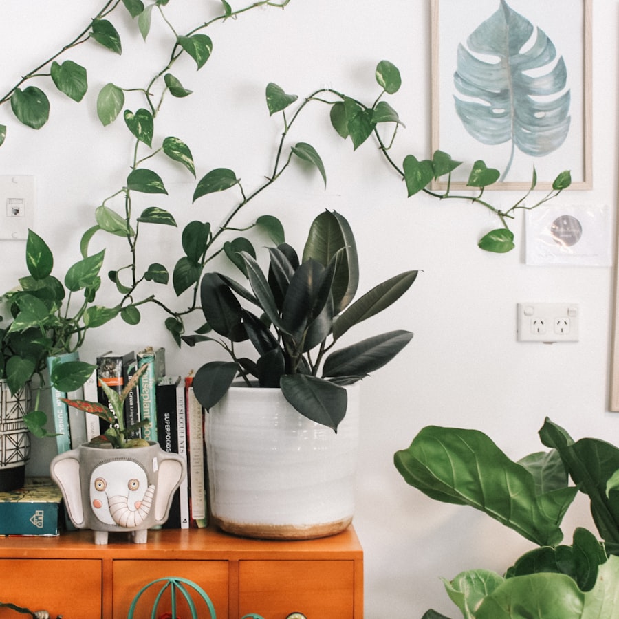 Collection of indoor plants styled on a sideboard