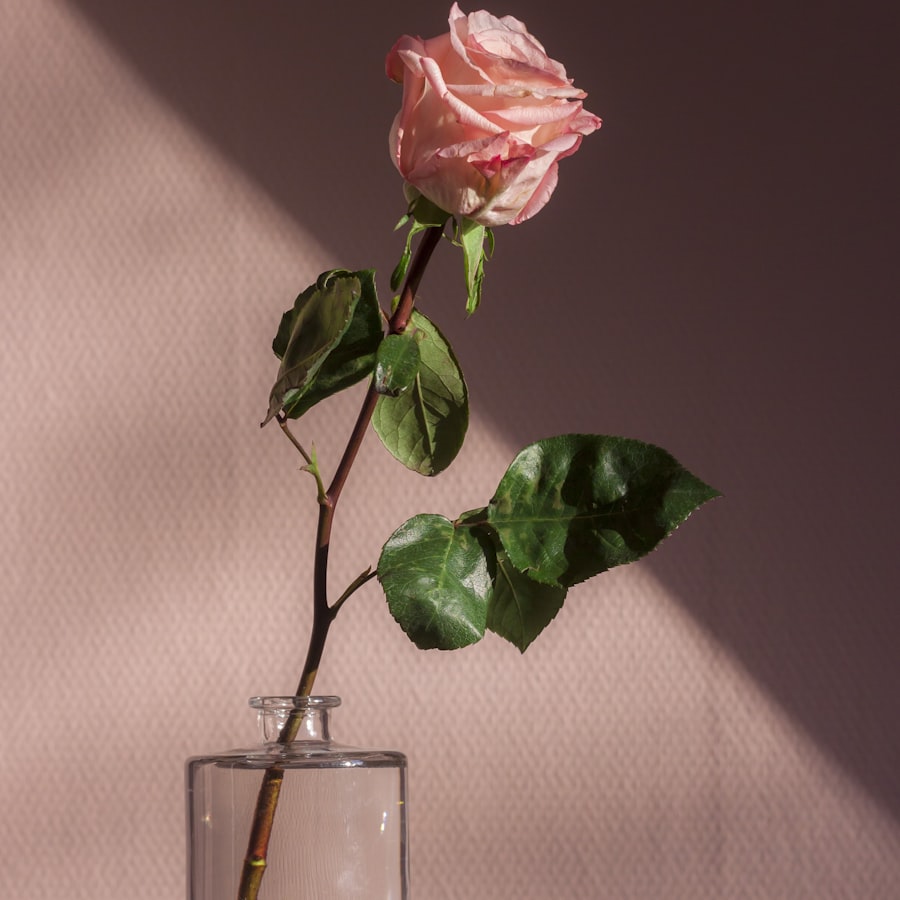 Single pink rose in a glass bottle vase